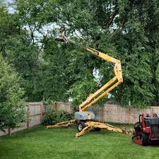 Best Sod Installation  in Deale, MD