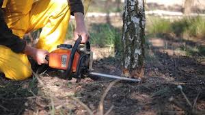 Best Aeration Services  in Deale, MD