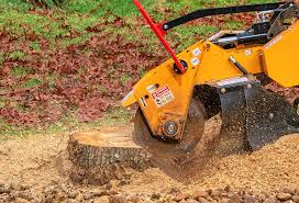 Best Leaf Removal  in Deale, MD